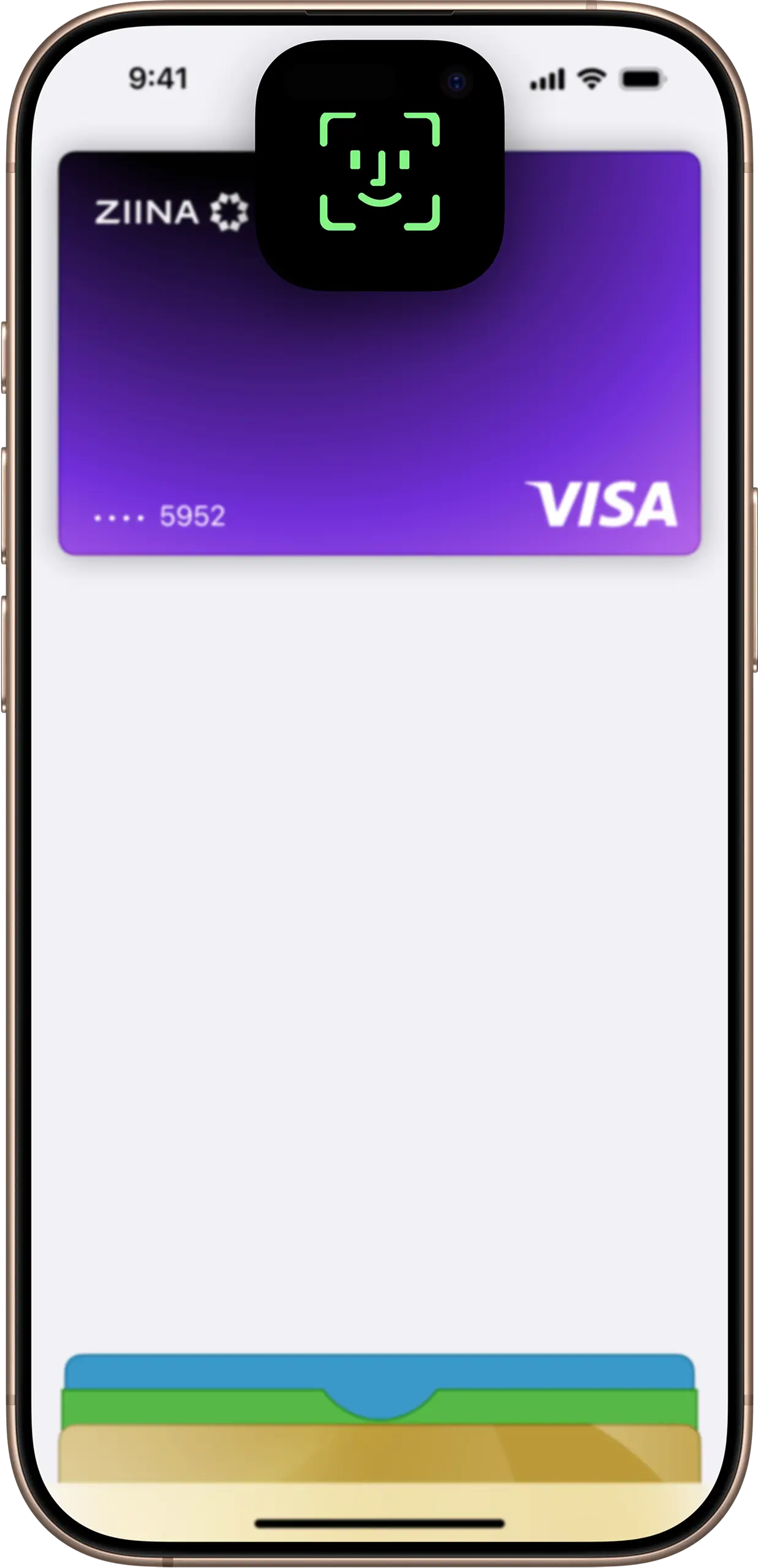 Apple Pay